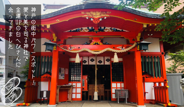 【四宮神社】女子必見の神戸の街中パワースポット！愛と美を司る神社で金運UPの白へびさんに！